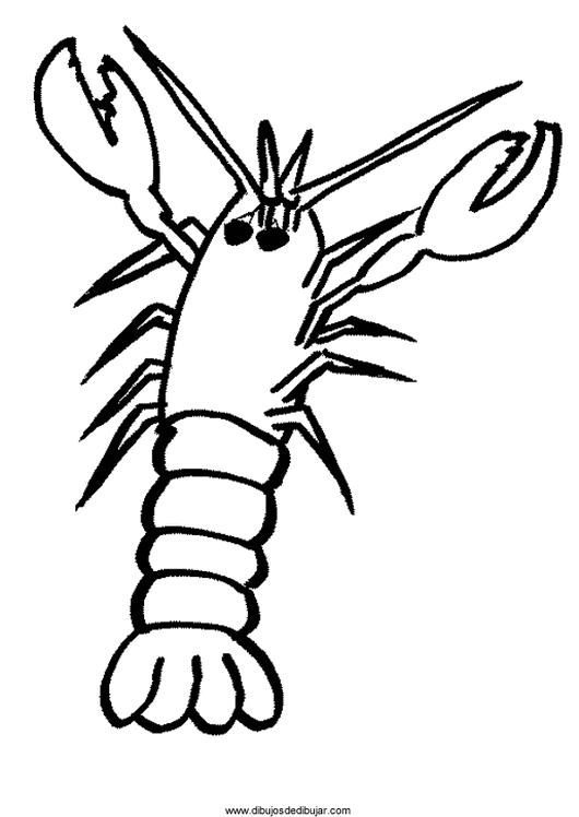 Shrimp Drawing at GetDrawings | Free download