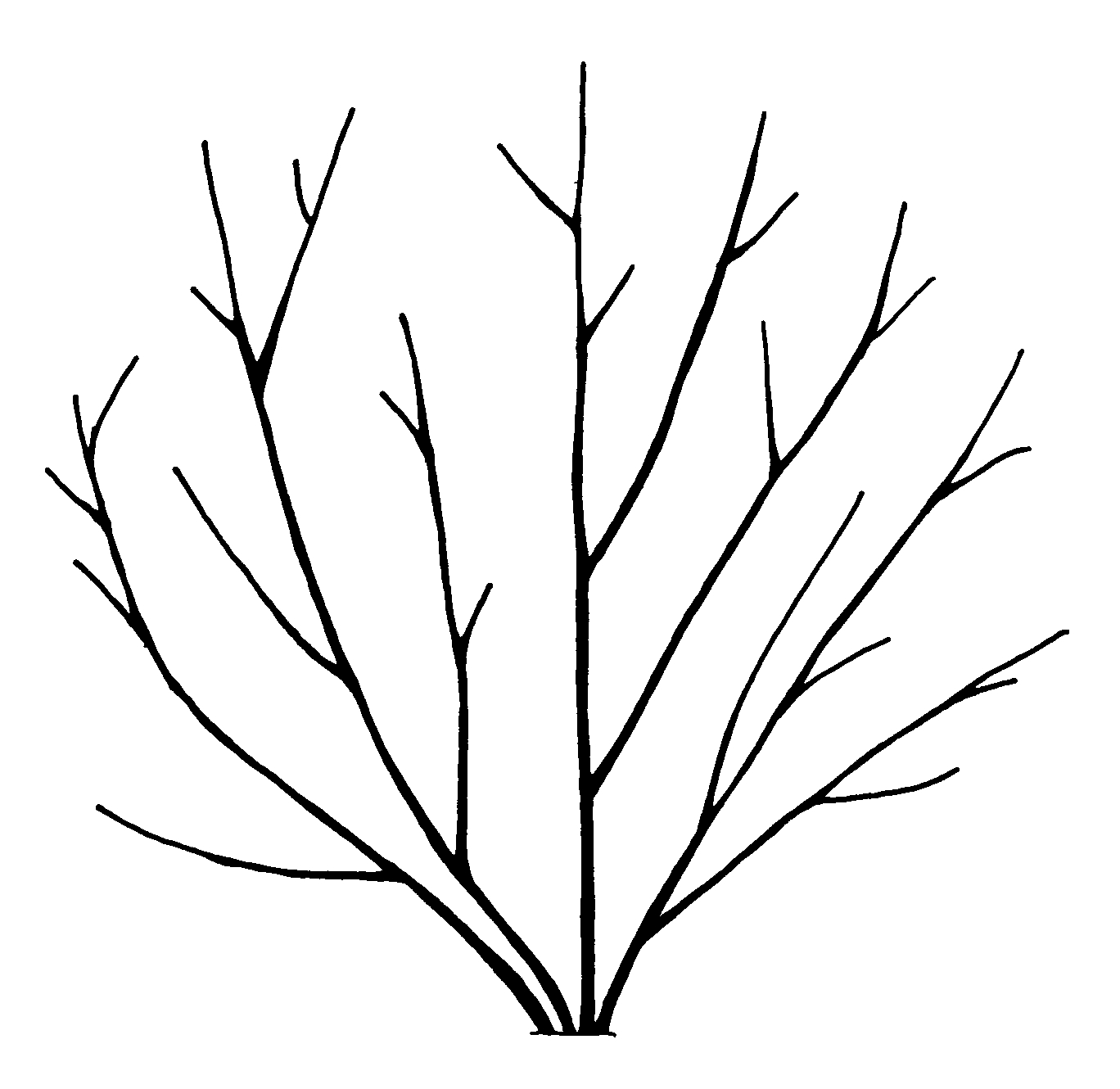 Shrub Drawing at GetDrawings | Free download