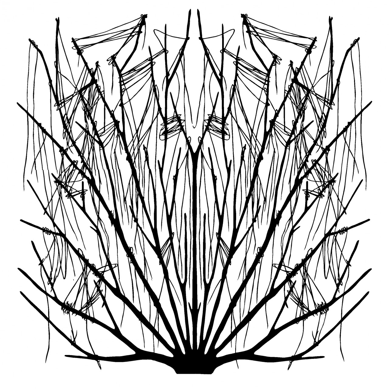 Shrub Drawing at GetDrawings | Free download