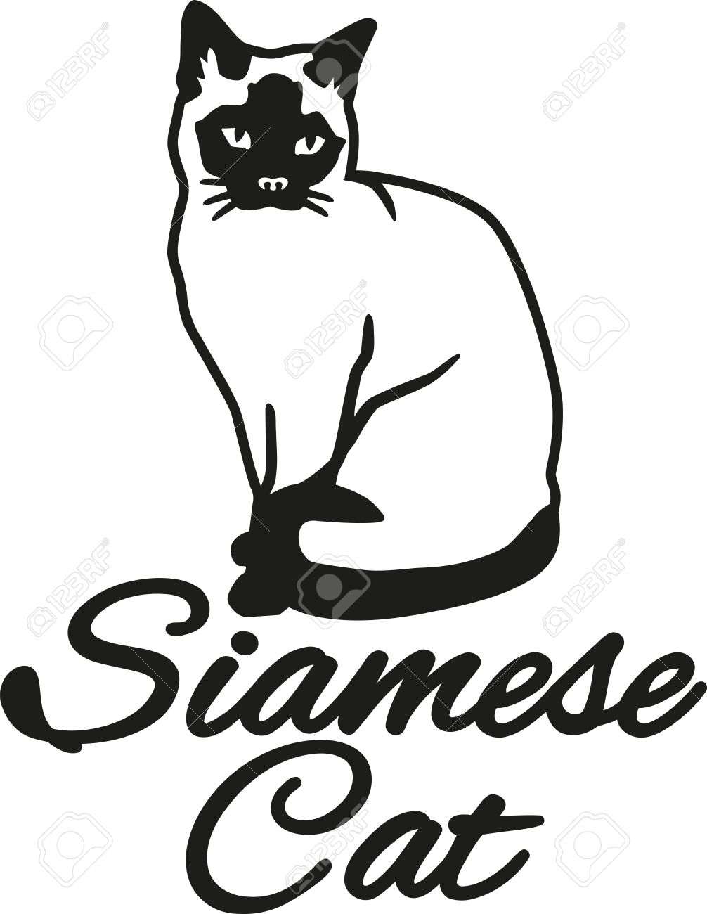 The best free Siamese drawing images. Download from 149 free drawings