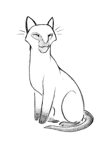 The best free Siamese drawing images. Download from 149 free drawings