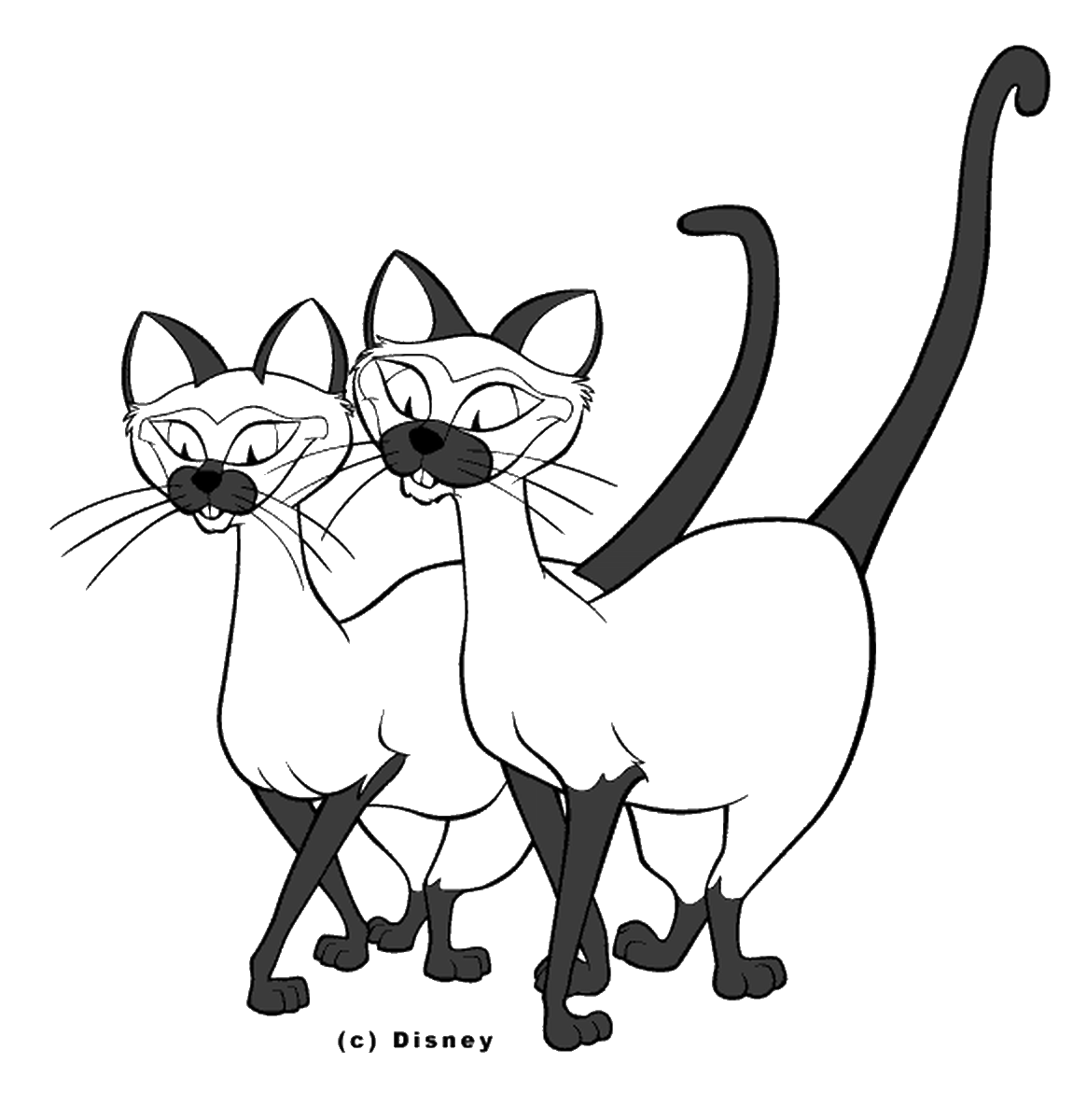 Siamese Cat Line Drawing at GetDrawings | Free download