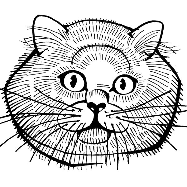 Siamese Cat Line Drawing at GetDrawings | Free download