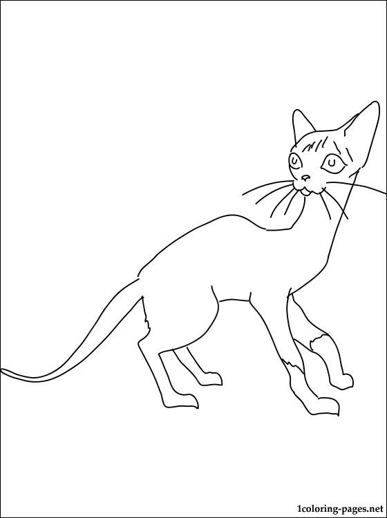 Siamese Cat Line Drawing at GetDrawings | Free download