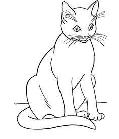 Siamese Cat Line Drawing at GetDrawings | Free download