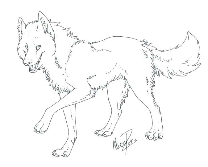 Siberian Husky Drawing at GetDrawings | Free download