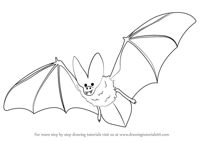 Simple Bat Drawing At Getdrawings Com Free For Personal