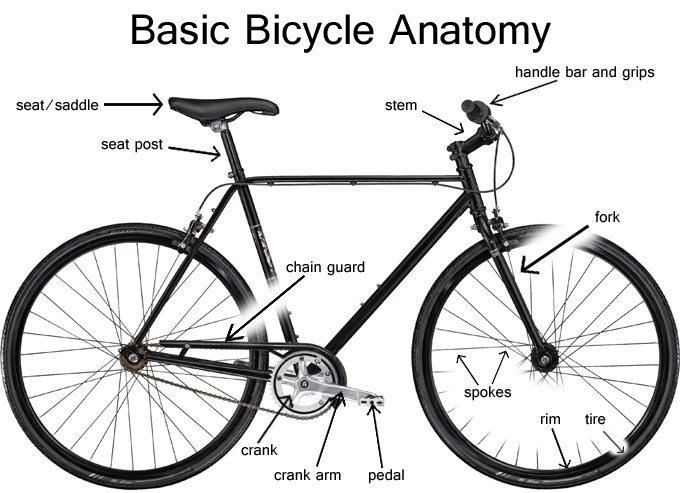 basic bike price