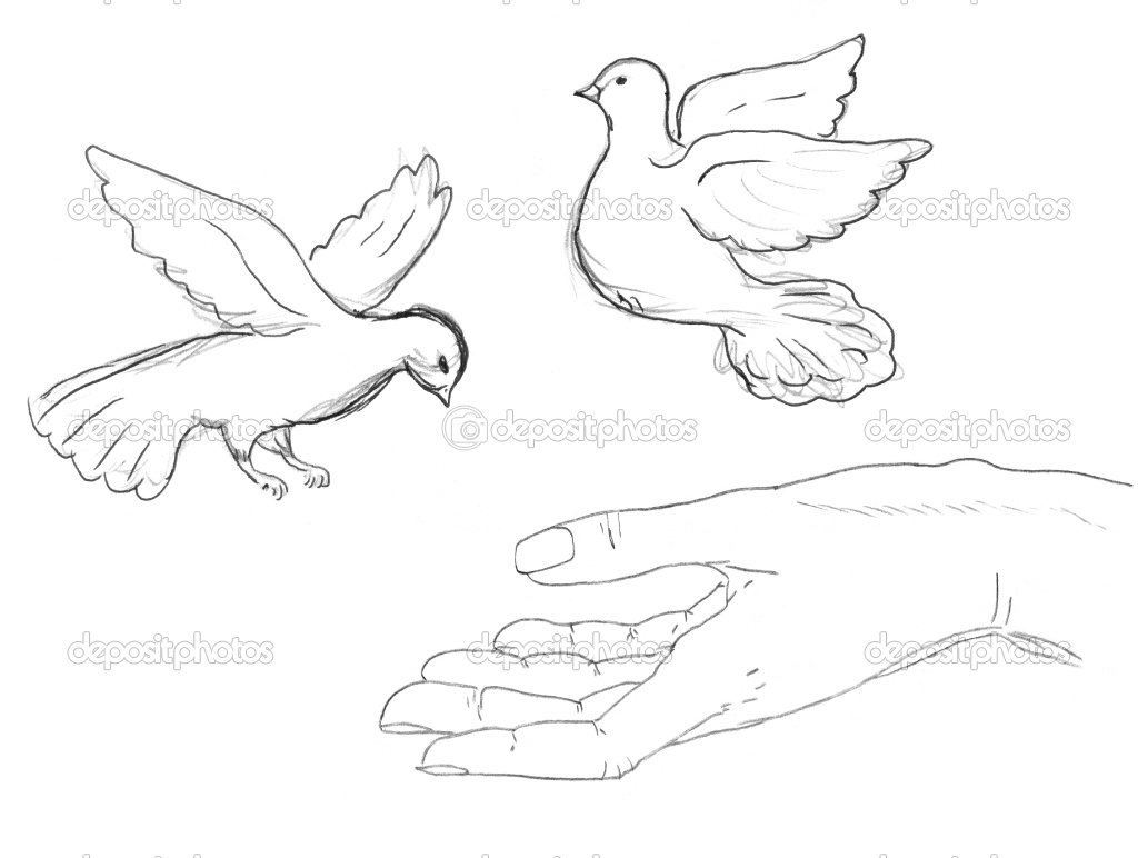 Simple Bird Drawing Flying at GetDrawings | Free download