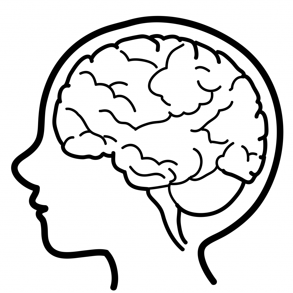 simple drawing of human brain