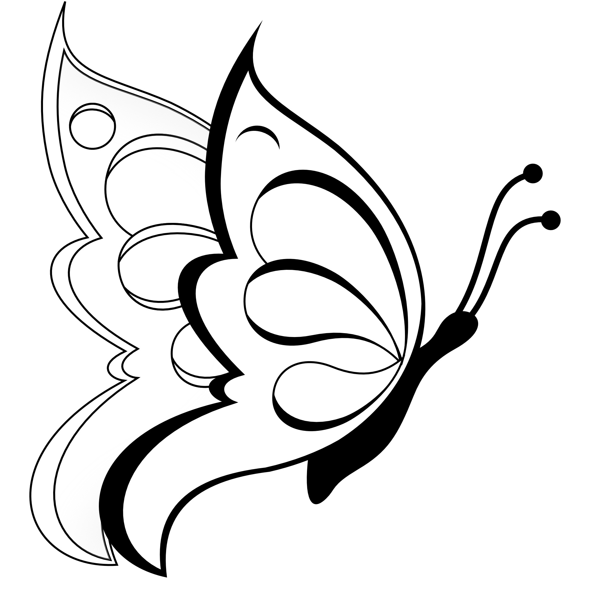 Simple Butterfly Drawing at GetDrawings | Free download