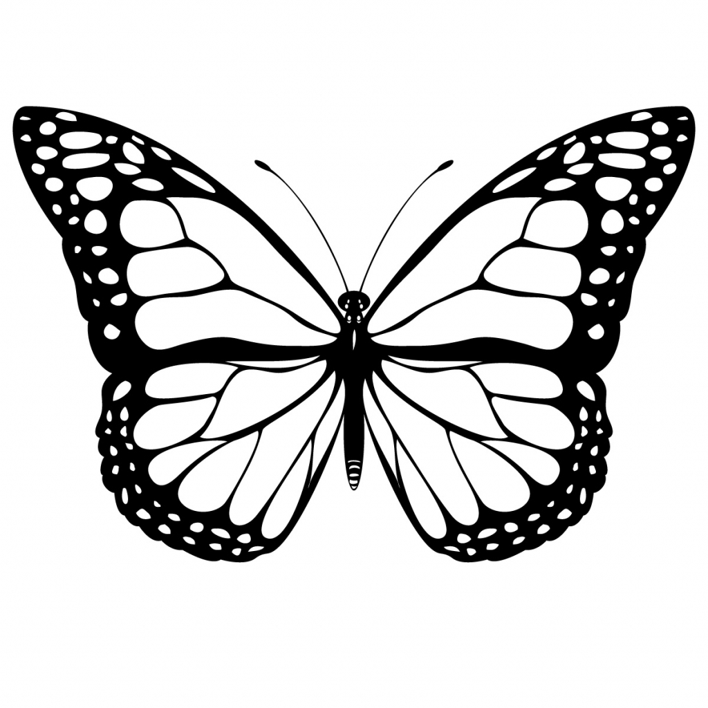 Simple Butterfly Drawing at GetDrawings | Free download