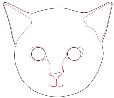 Kids Easy Simple Cat Face Drawing - Mariiana-blog