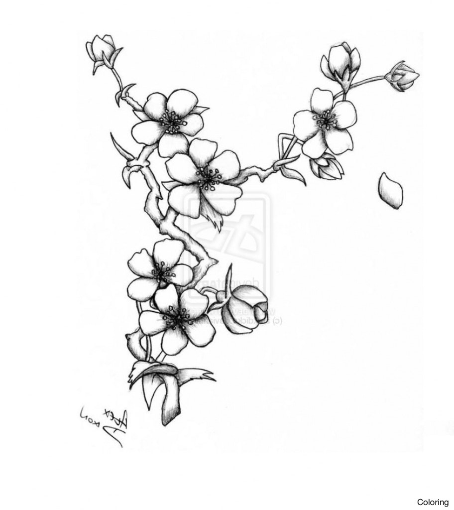 Simple Cherry Blossom Drawing at GetDrawings | Free download