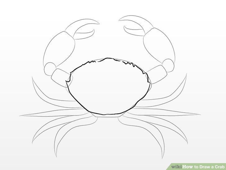 crab drawing draw simple step getdrawings legs steps wikihow
