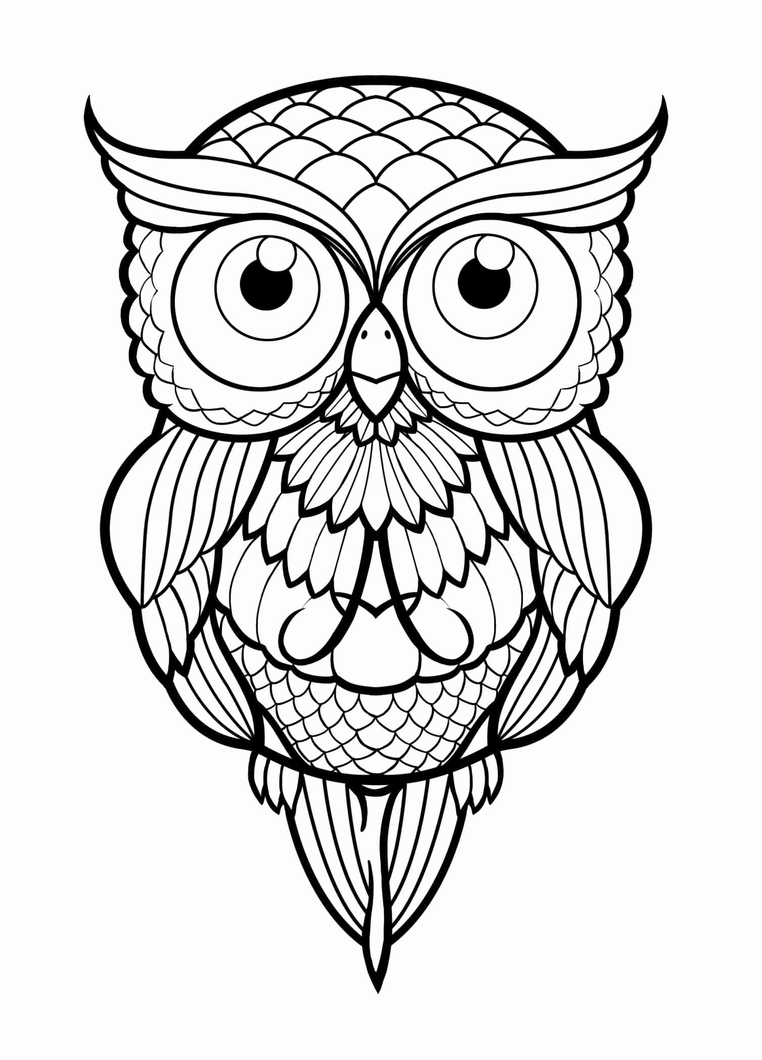 Easy Cute Owl Drawing at PaintingValley.com | Explore collection of