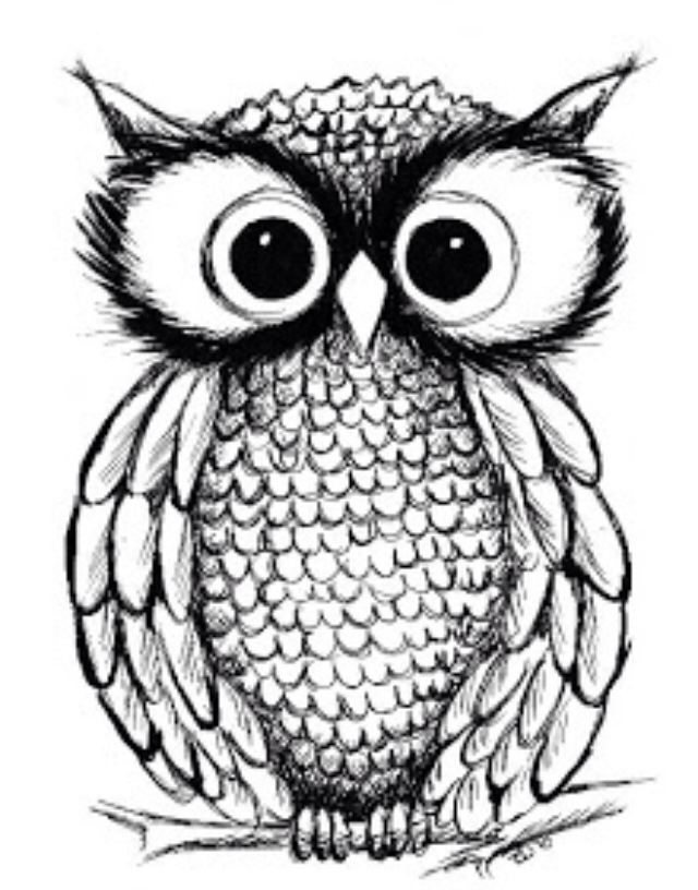 Simple Cute Owl Drawing at GetDrawings Free download