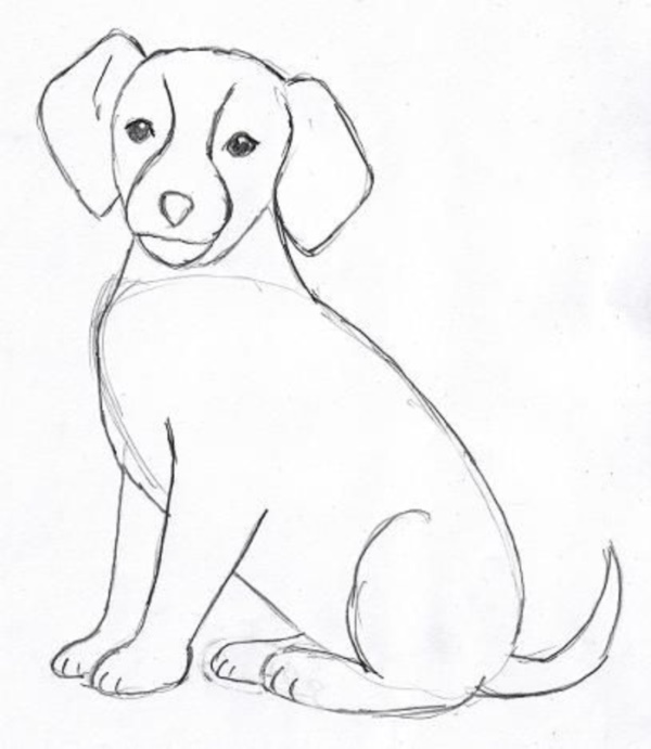 Simple Dog Face Drawing at GetDrawings Free download
