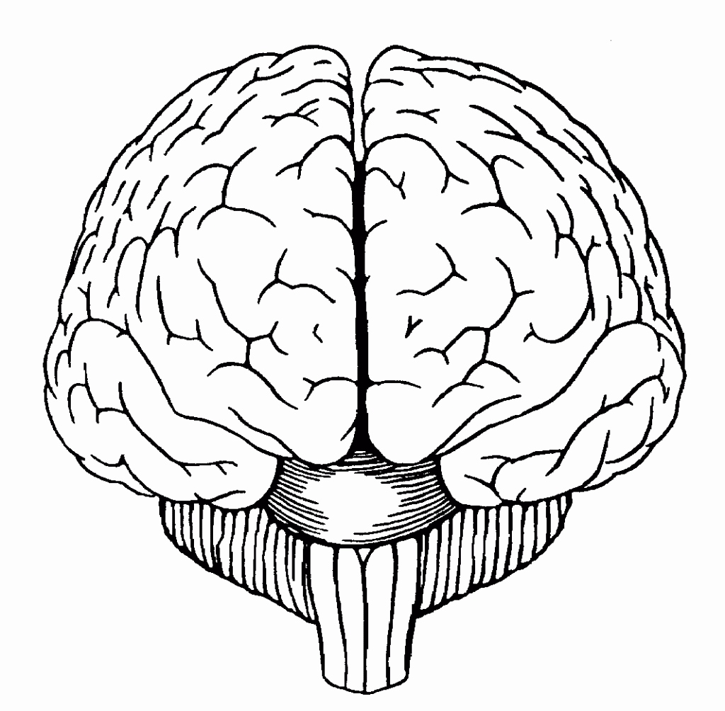 The brain coloring page