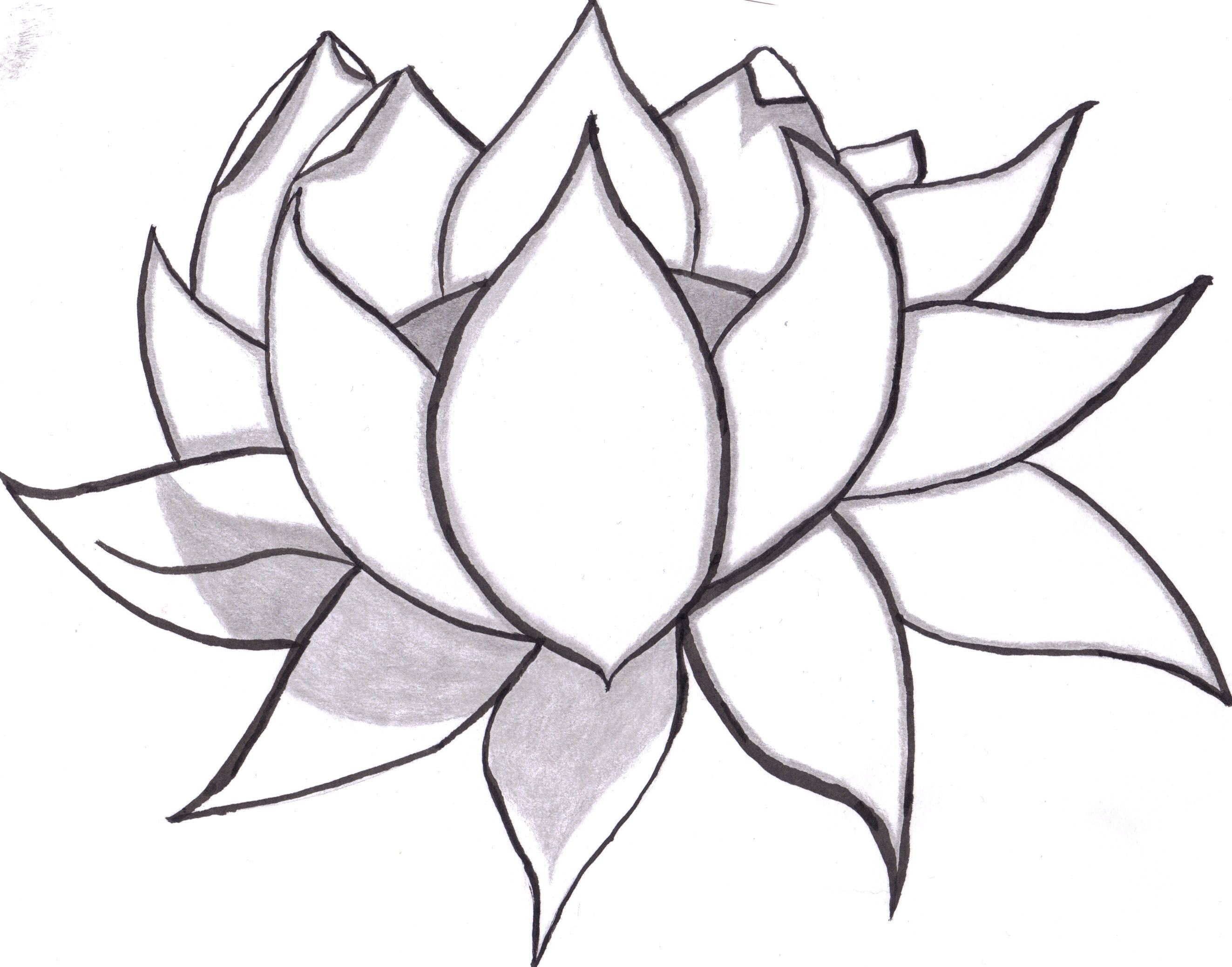 Simple Drawing Of Flowers At Getdrawings Free Download Learning how to draw cartoon flowers is a great way to impress that special someone! getdrawings com