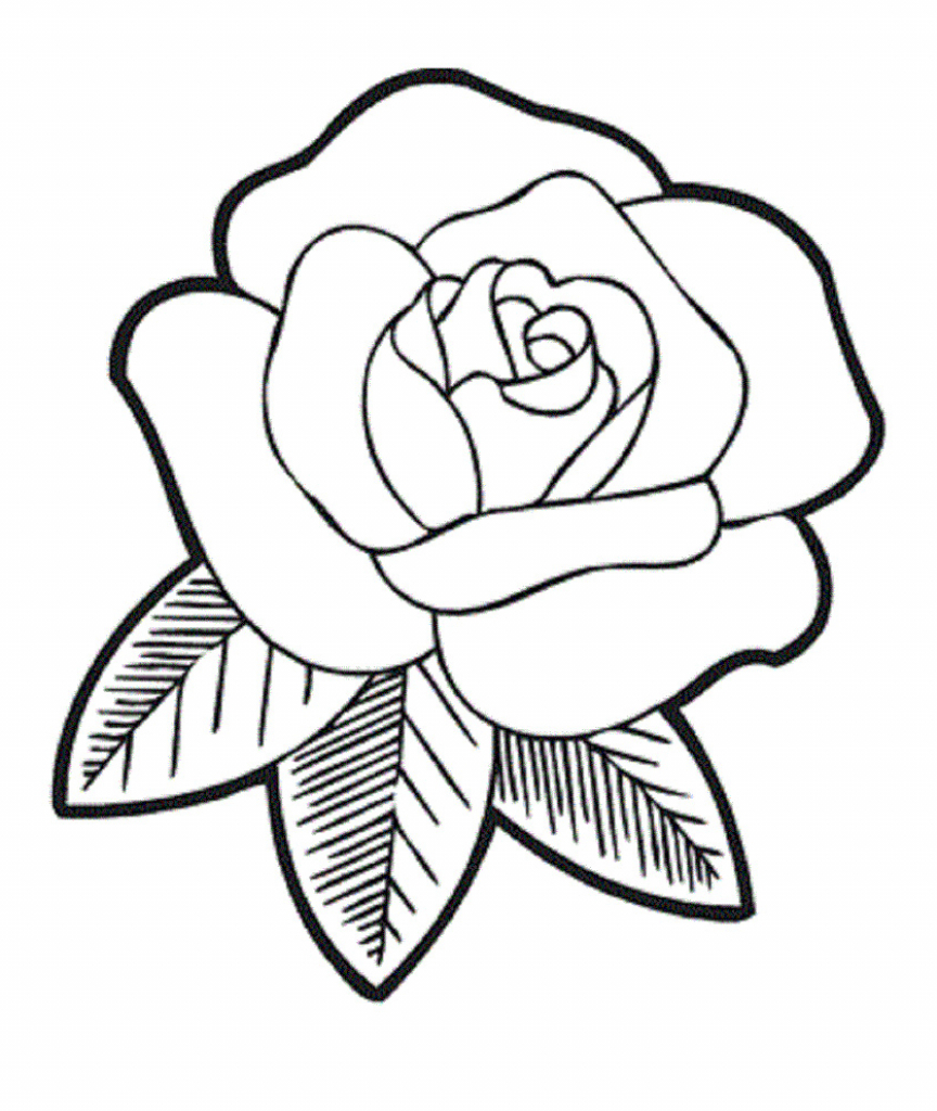 Simple Drawing Roses at GetDrawings Free download