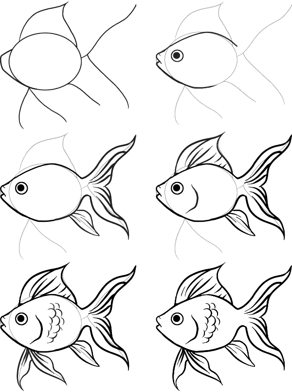 Simple Fish Drawing at GetDrawings Free download