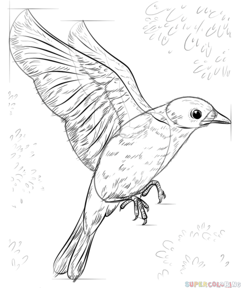easy flying bird sketch