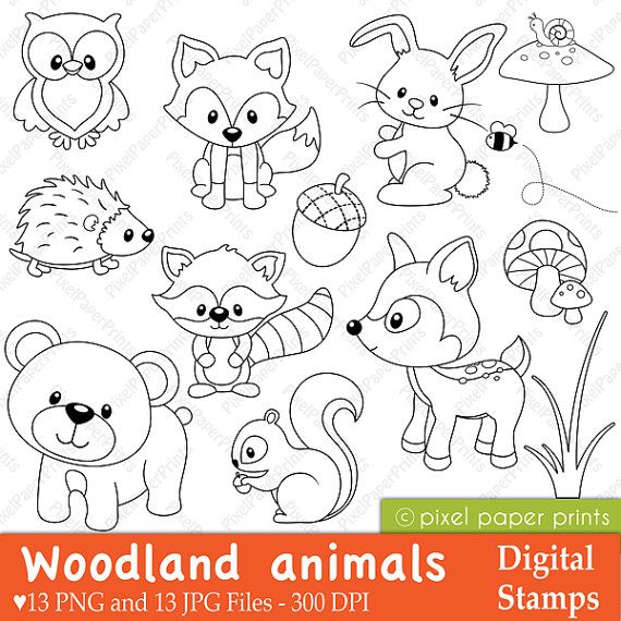 Simple Forest Drawing With Animals at GetDrawings Free download