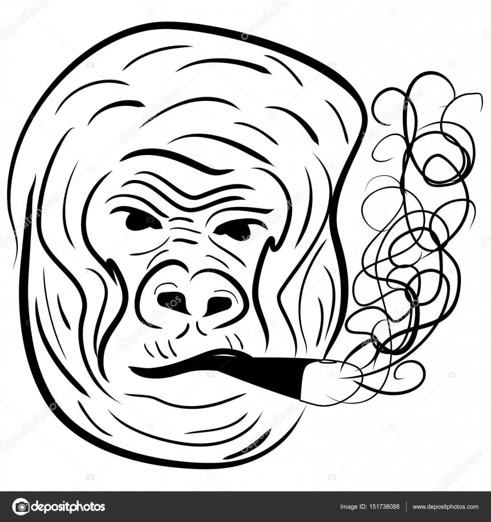 Simple Gorilla Drawing at GetDrawings | Free download