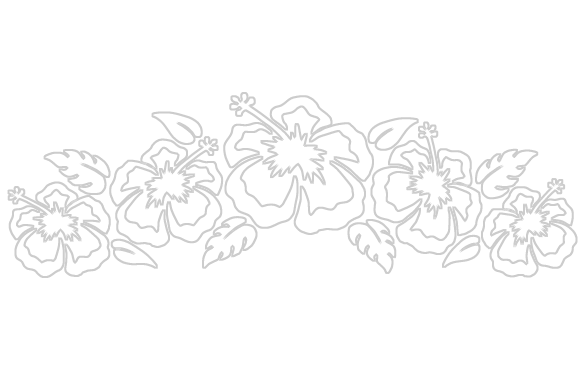Featured image of post Hawaiian Flowers Drawing Step By Step
