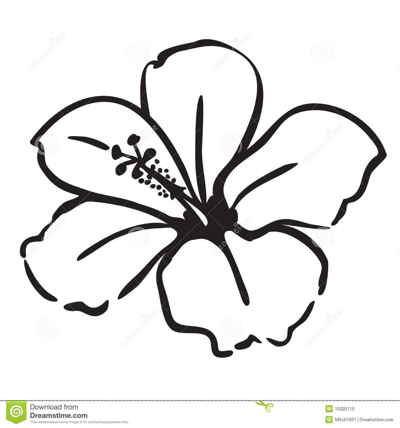 Simple Hibiscus Drawing at GetDrawings | Free download