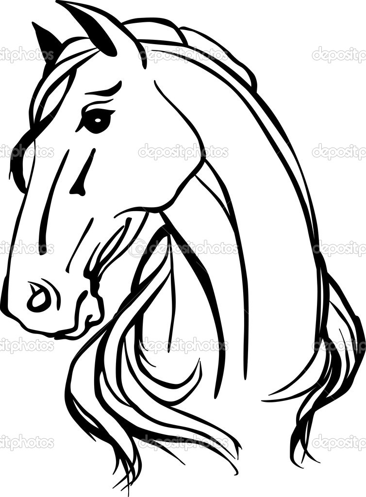 Simple Horse Head Drawing at GetDrawings | Free download