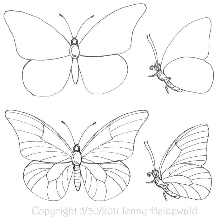 Simple Insect Drawing At Getdrawings Free Download 4707