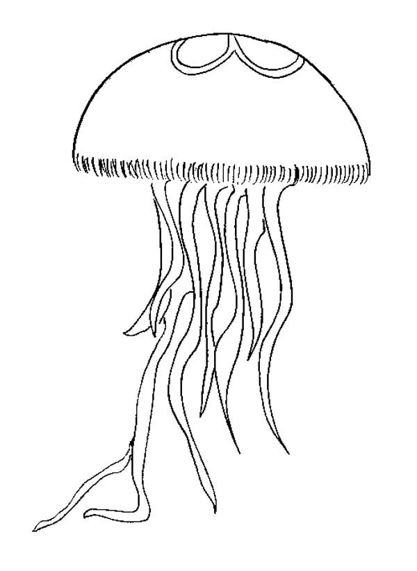 Simple Jellyfish Drawing at GetDrawings | Free download