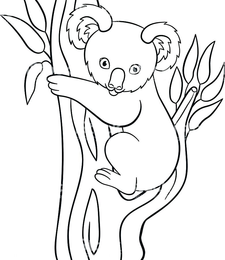 simple-koala-drawing-at-getdrawings-free-download