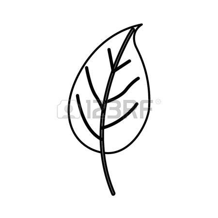 easy contour line drawing plant