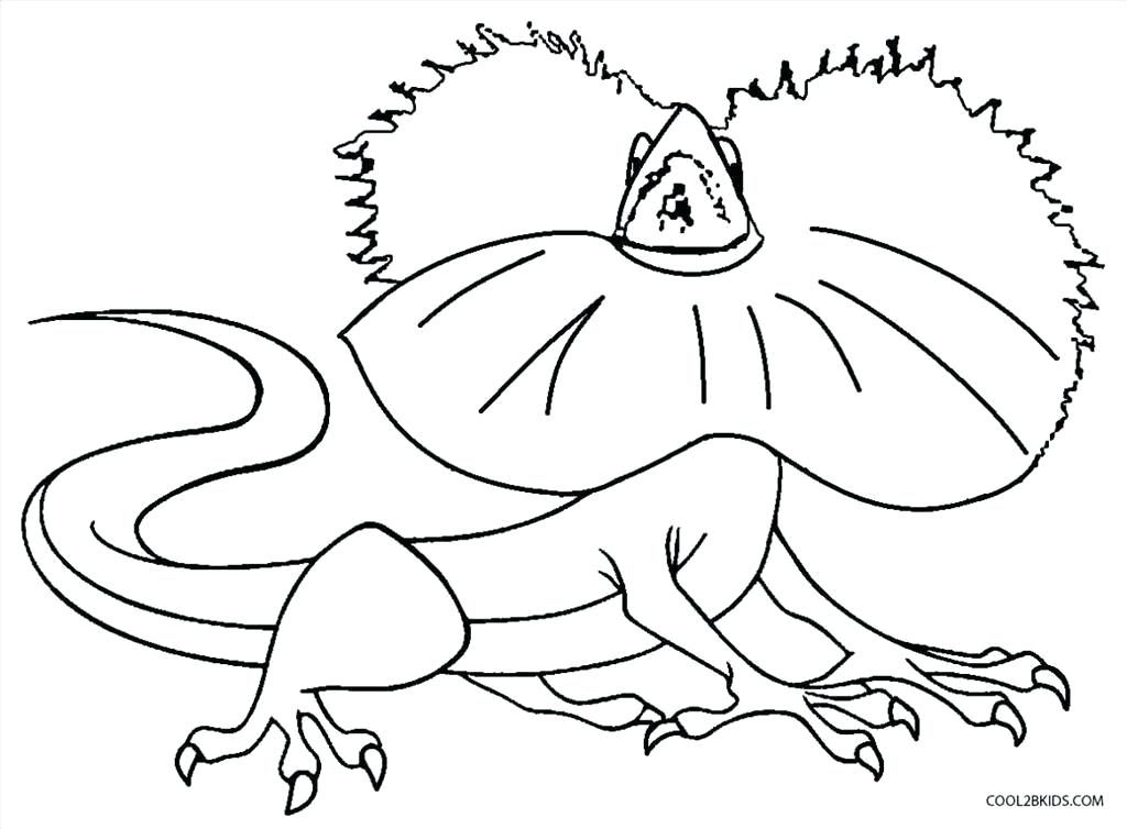 Simple Lizard Drawing at GetDrawings | Free download
