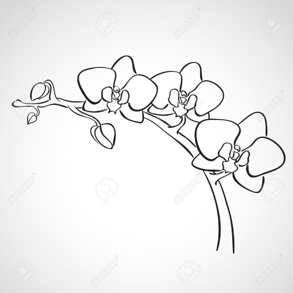 Simple Orchid Drawing at GetDrawings Free download