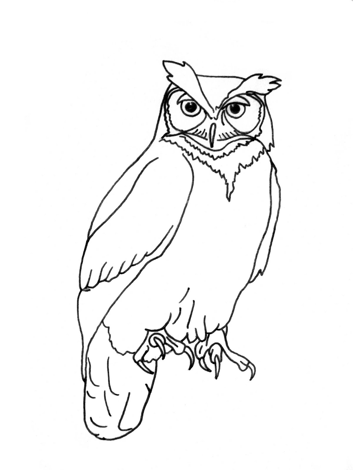 Simple Owl Drawing at GetDrawings | Free download