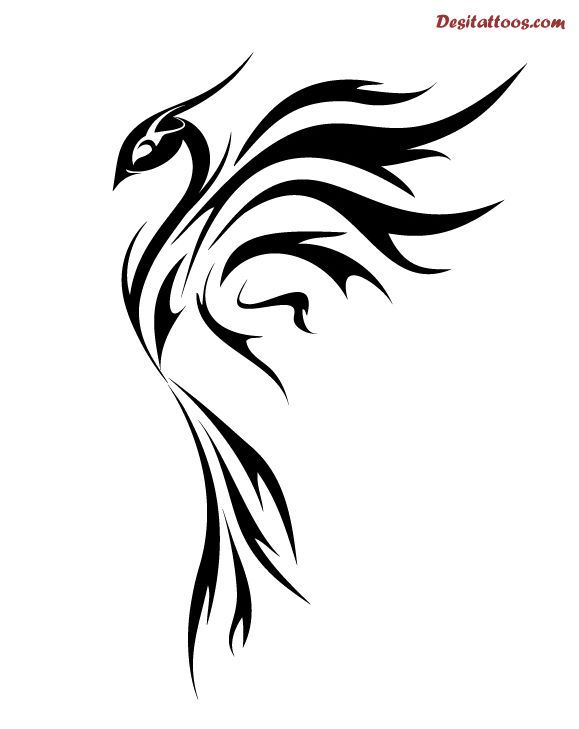 Simple Phoenix Drawing at GetDrawings Free download