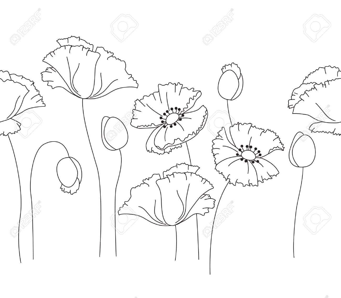 Simple Poppy Drawing at GetDrawings | Free download