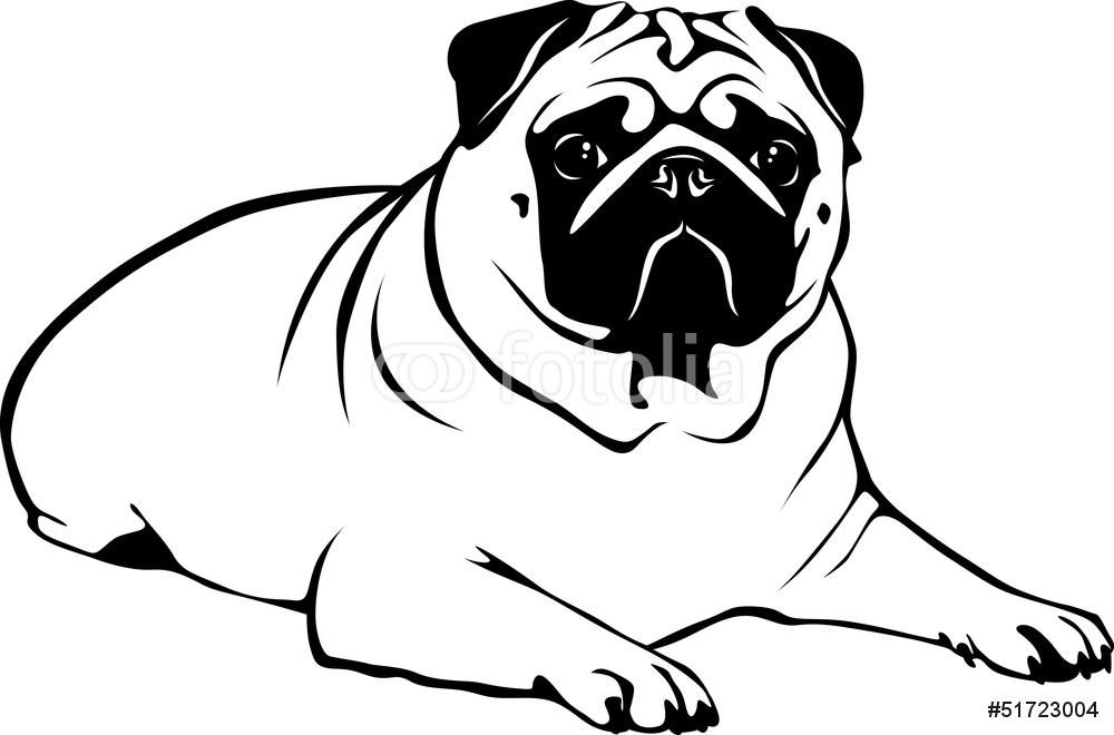 Simple Pug Drawing at GetDrawings | Free download