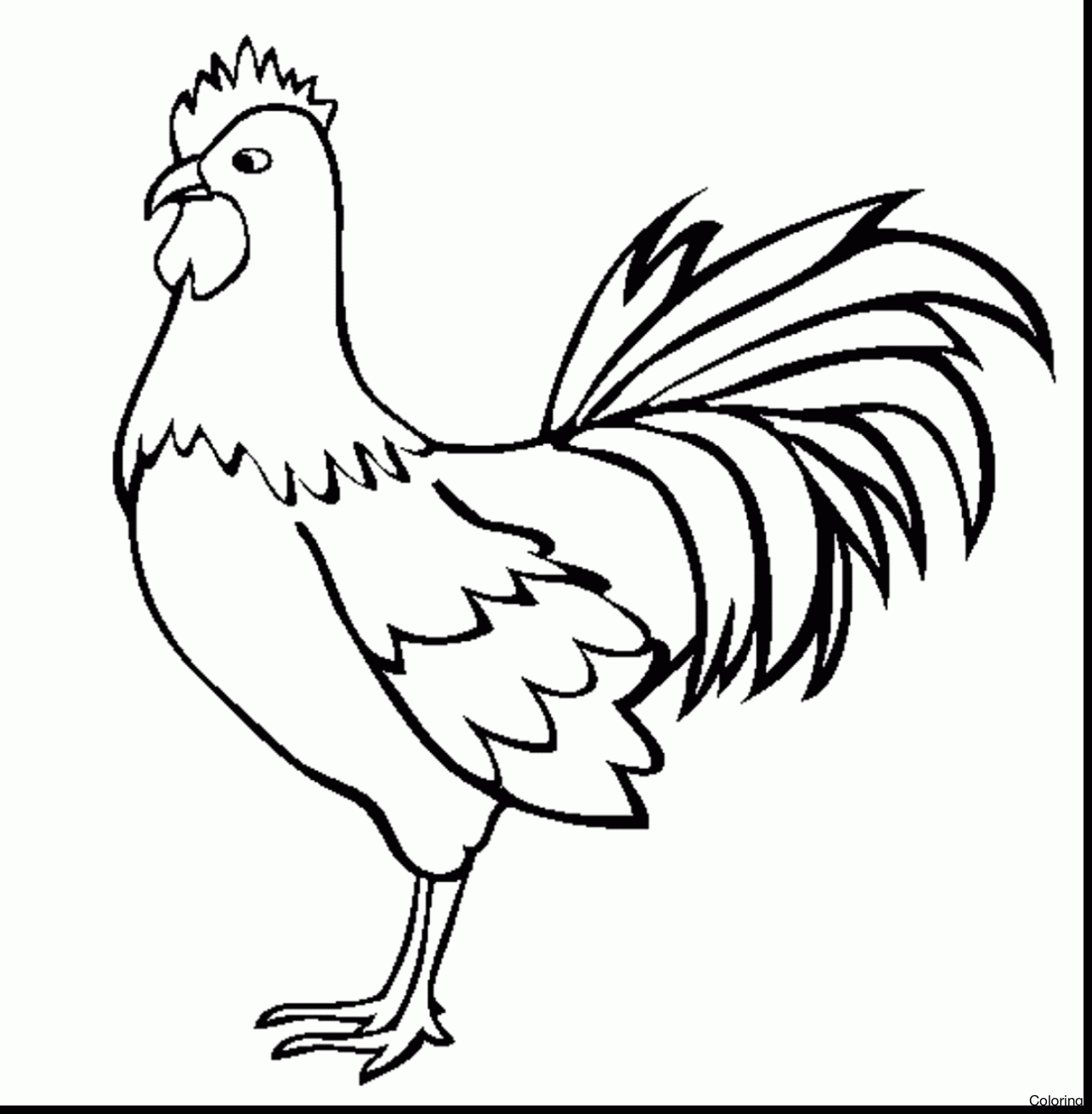 Simple Rooster Drawing at GetDrawings | Free download