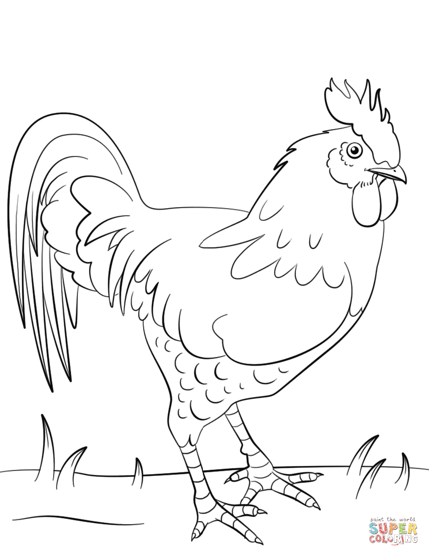 simple rooster drawing at getdrawings  free download