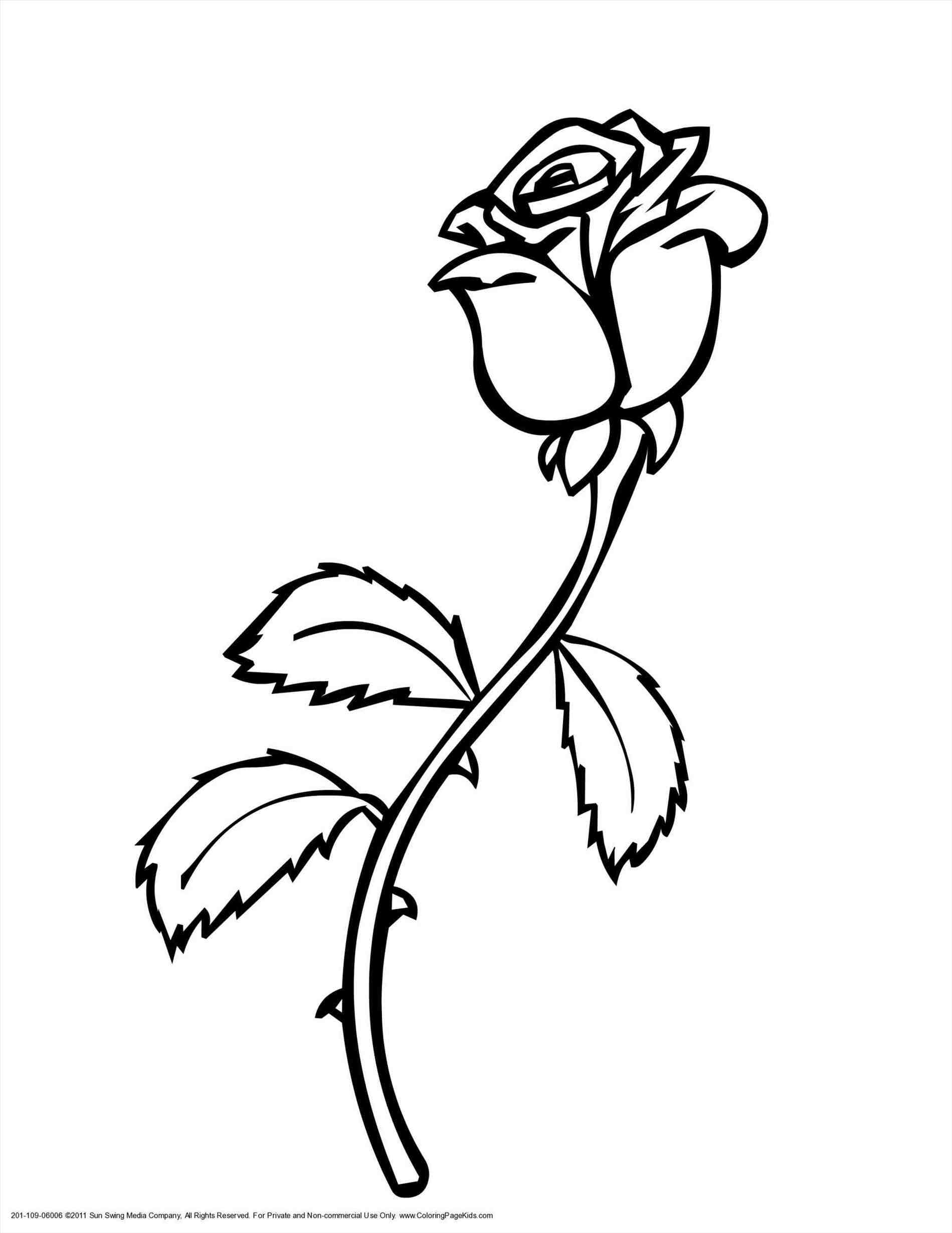 Simple Rose Line Drawing at GetDrawings | Free download