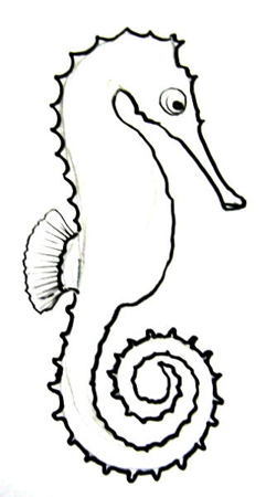 Simple Seahorse Drawing At GetDrawings | Free Download