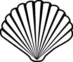 Simple Shell Drawing at GetDrawings | Free download