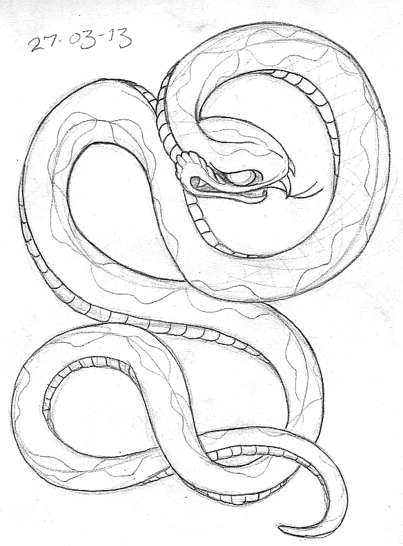 Simple Snake Drawing at GetDrawings | Free download