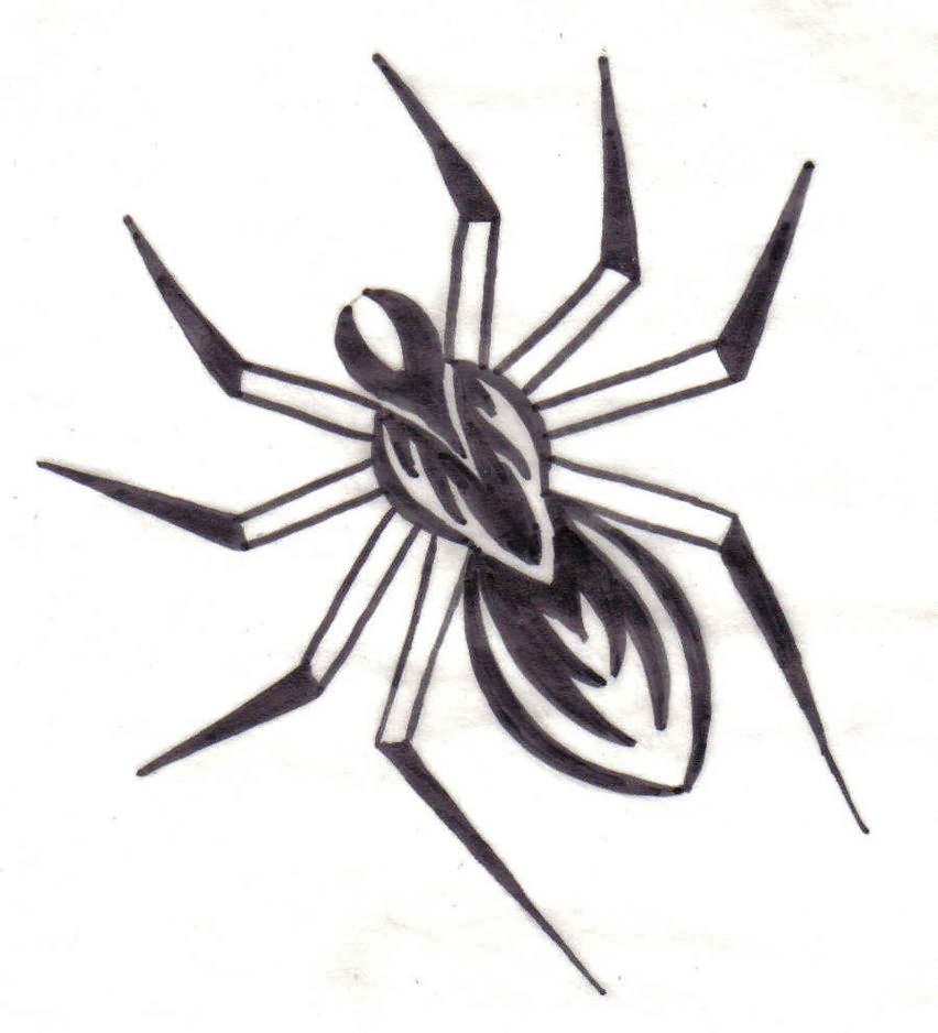 Easy Easy Sketch Drawings For Beginners Spiders with Realistic