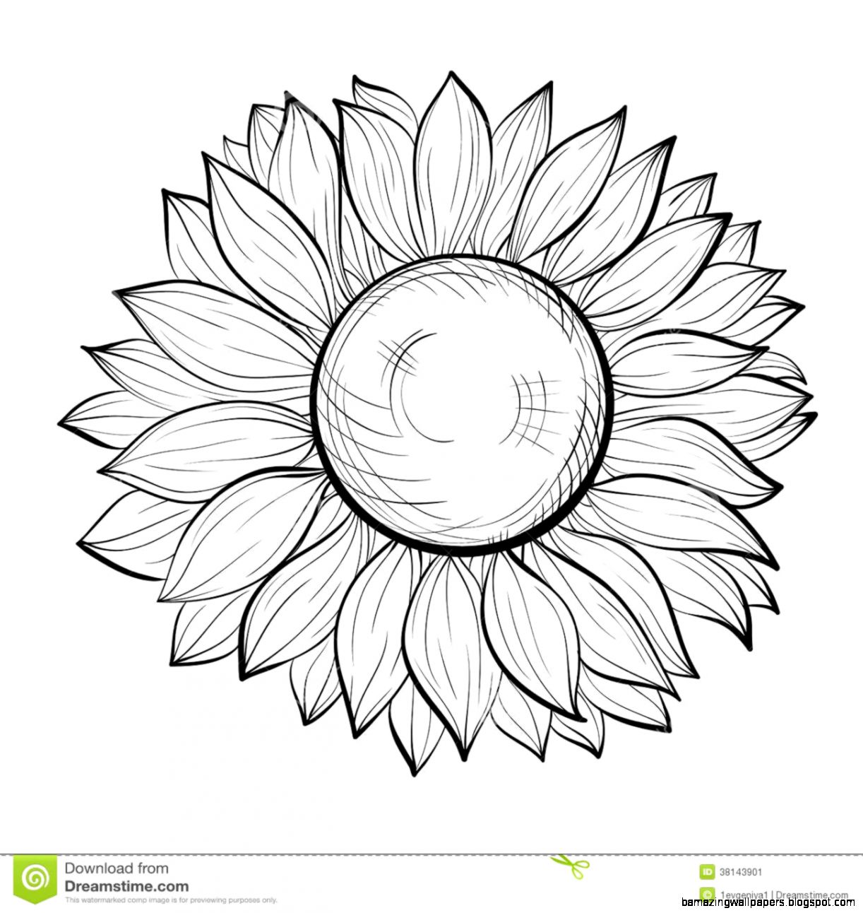 sunflower outline